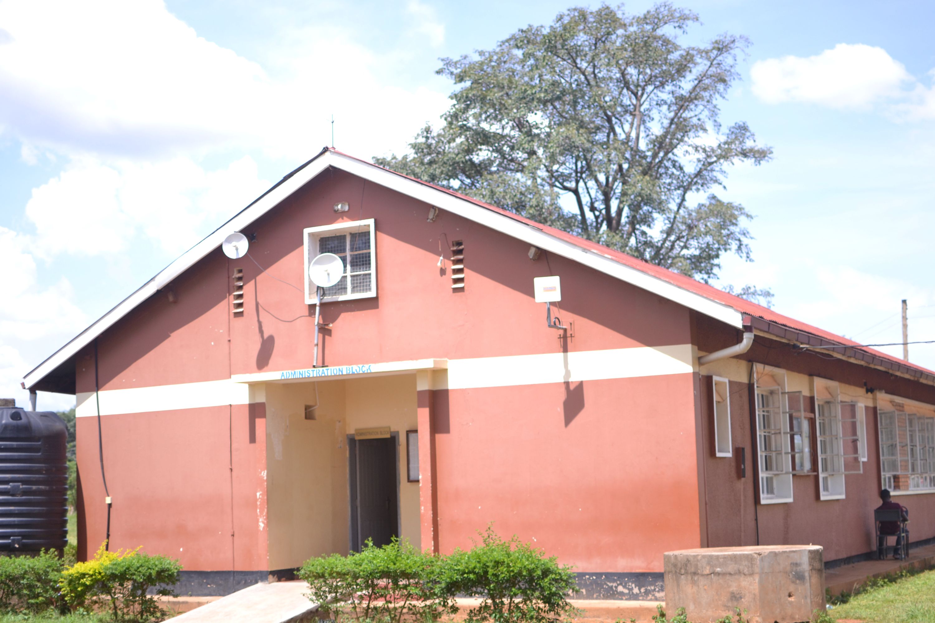 Shaping business mind